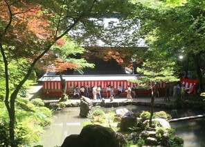 庭園での茶会