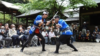棒の手