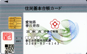 表面（顔写真なしの場合）