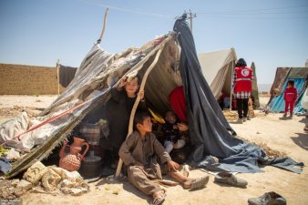 干ばつ、紛争、コロナ、貧困など複合的な人道危機に直面し、 国内避難民が増加するアフガニスタン