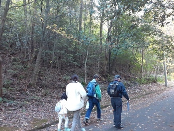 自然観察会写真