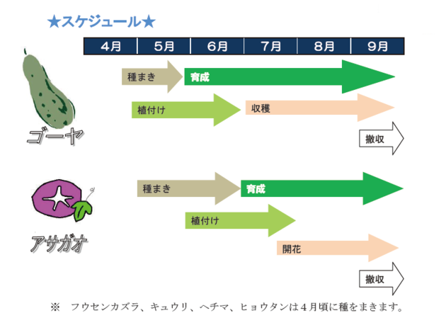 栽培スケジュール