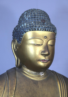 阿弥陀如来坐像 頭部右斜側面