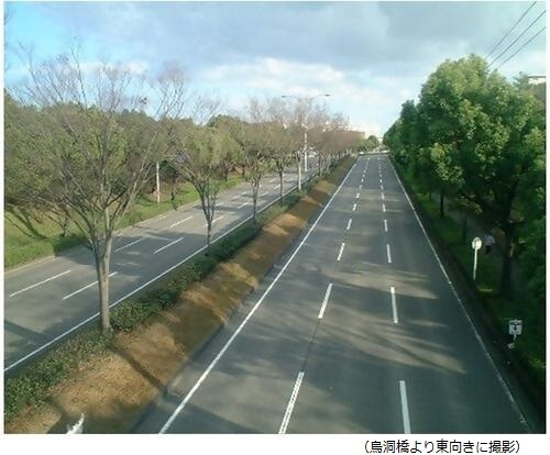 春日井市道137号線(藤山台：烏洞橋より東向きに撮影)