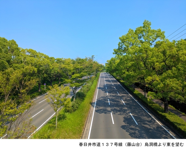 春日井市道137号線(藤山台：烏洞橋より西向きに撮影)