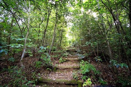 高森山公園