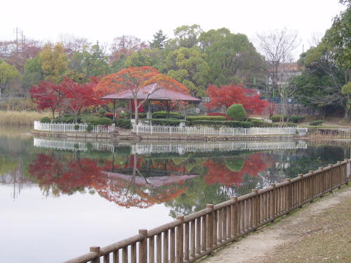 新池公園