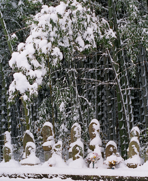 奨励賞「野辺の雪衣」（熊野町）