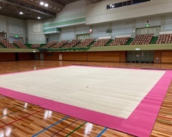 春日井市総合体育館新体操マット