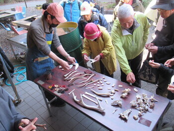 みんなが鹿角選んでいます