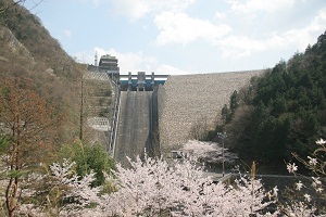 阿木川ダム(阿木川湖)