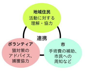 イラスト地域猫活動