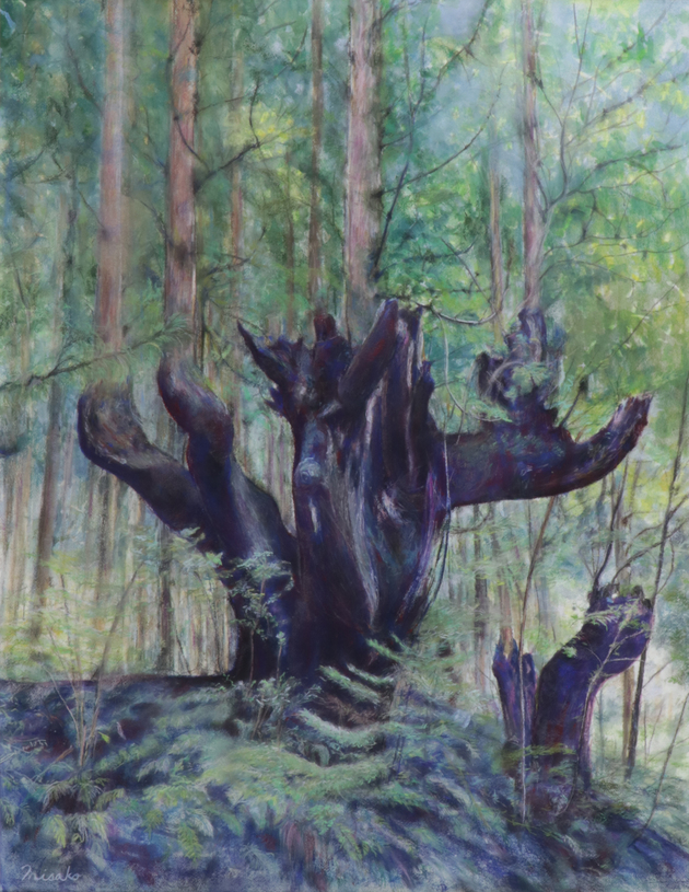 『株杉-悠久の刻を超えて』　森島　美佐子