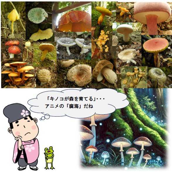 21園内に出現したキノコたち　画像