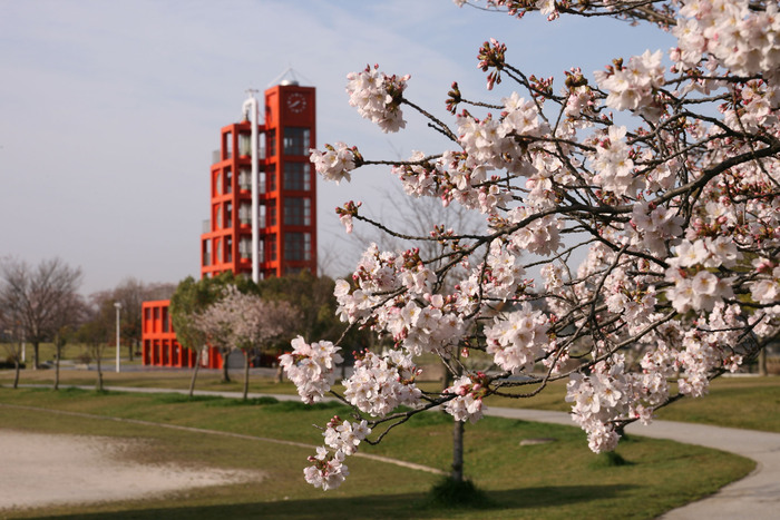 風景