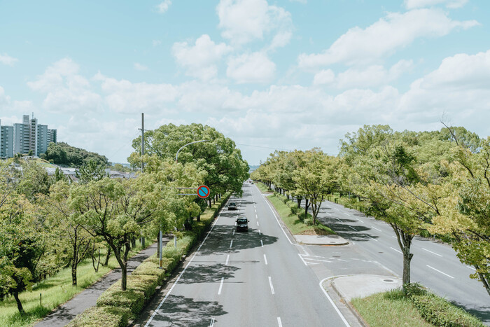 風景