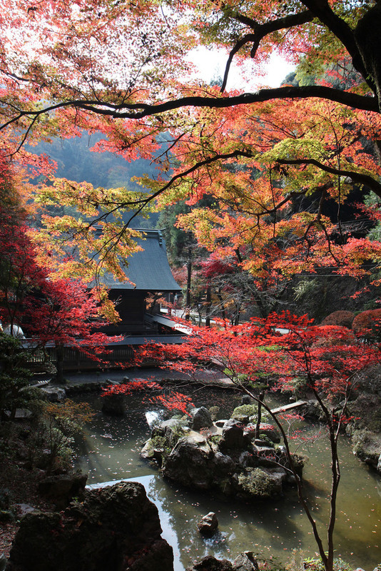 風景