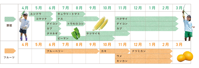 収穫できる野菜とフルーツカレンダー