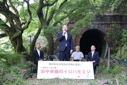愛岐トンネル群のイロハモミジを天然記念物に指定