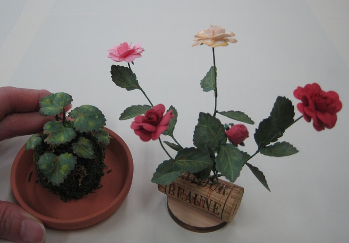 苔玉とバラ