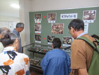 講義風景の写真