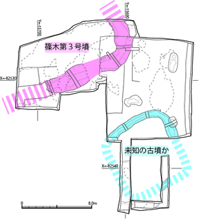 調査区の平面図