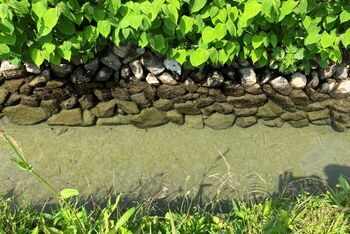 堰堤の空石積からの湧水の写真