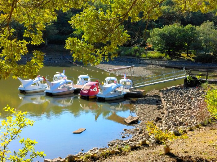 サイクルボートのりば写真 2025年11月1日時点の写真