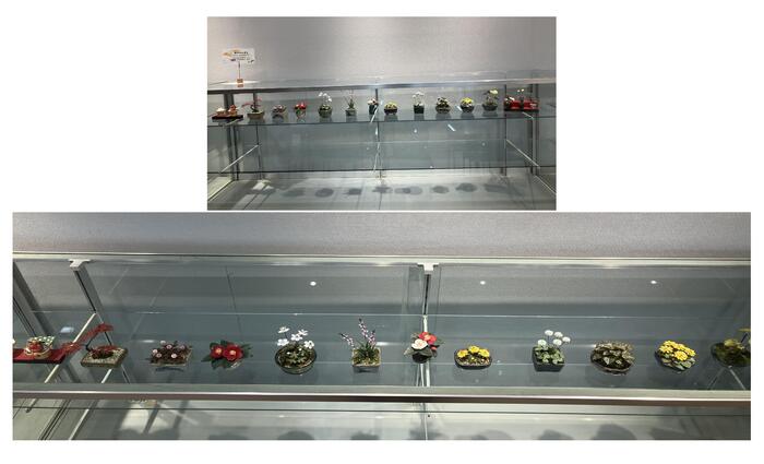 色画用紙で作るミニサイズのかわいいお花2