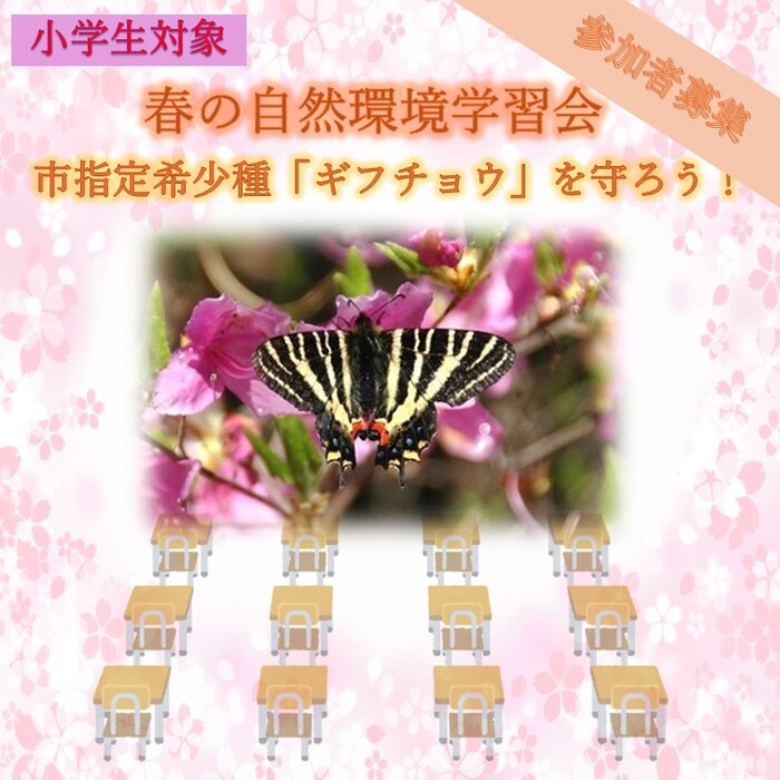 ギフチョウ学習会