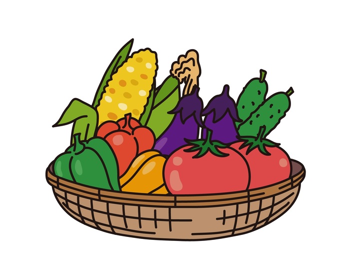 季節の野菜をいただこう～夏野菜～　