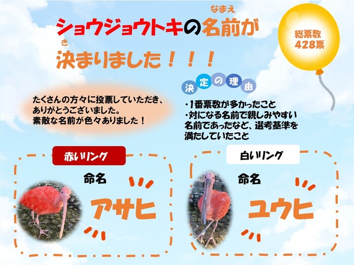 ショウジョウトキの名前を決定しました