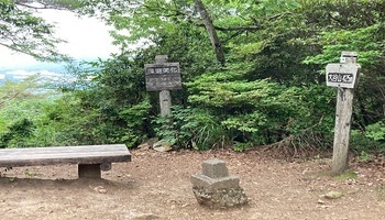 202610ootani