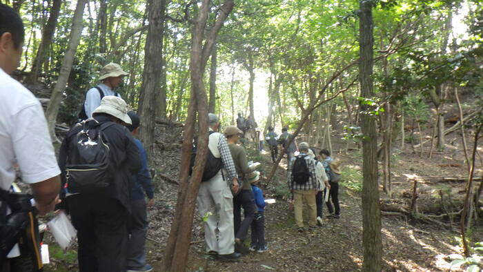 donguri